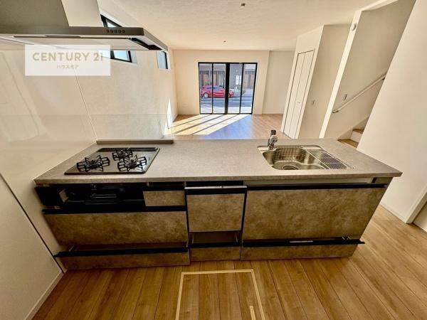 松戸市二十世紀が丘柿の木町　新築戸建