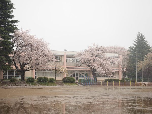 つくば市下広岡　新築戸建(つくば市立桜南小学校)
