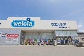 つくば市高野　2号棟　新築戸建て(ウエルシアつくば豊里店)