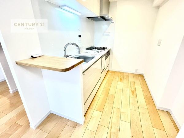 柏パーク・ホームズ