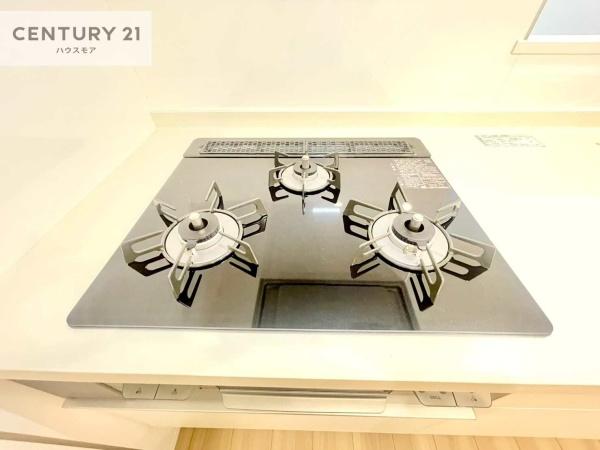 サンライトパストラル弐番街D棟