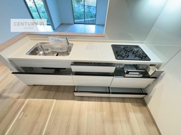 松戸市根木内　新築戸建