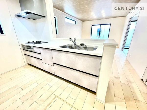 松戸市竹ケ花　新築戸建