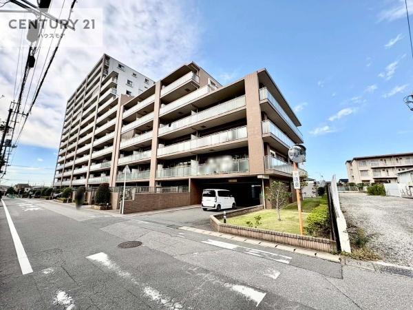 エクセレントプレイスドリームマークス