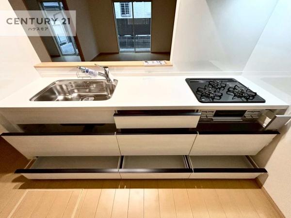 松戸市小金原9丁目　B号棟　新築戸建