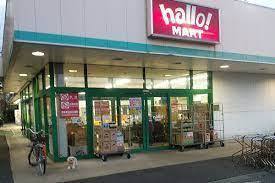 松戸市六高台2丁目　新築戸建(ハローマート六実店)