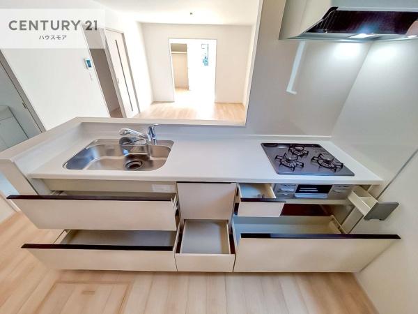 土浦市烏山4丁目　D号棟　新築戸建