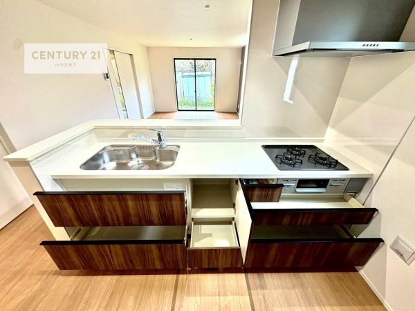 印旛郡酒々井町酒々井　2号棟　新築戸建