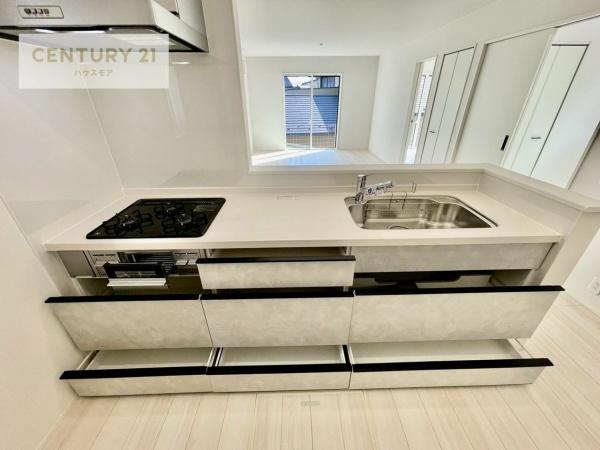 柏市酒井根2丁目　13号棟　新築戸建