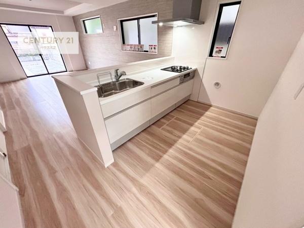 龍ケ崎市寺後　新築戸建