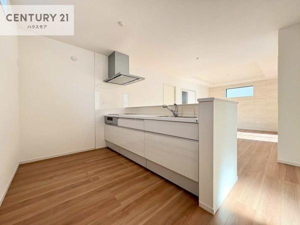 柏市高柳新田　新築戸建