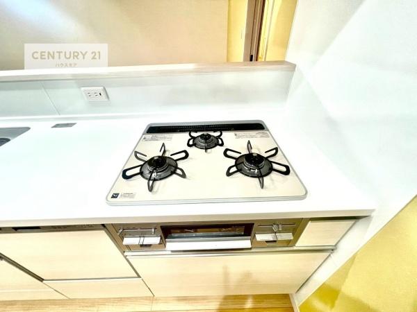 我孫子市若松　A号棟