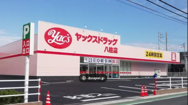 ダイヤリッジ常盤平(ヤックスドラッグ八柱店)