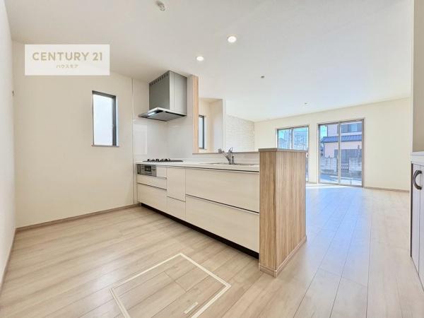 松戸市小金原7丁目　B号棟　新築戸建