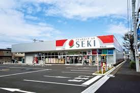 柏市大室　新築戸建て(ドラッグストアセキ花野井店)