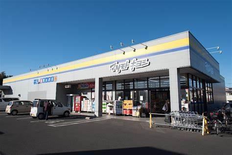 松戸市六実3丁目　新築戸建(マツモトキヨシ松戸六実店)