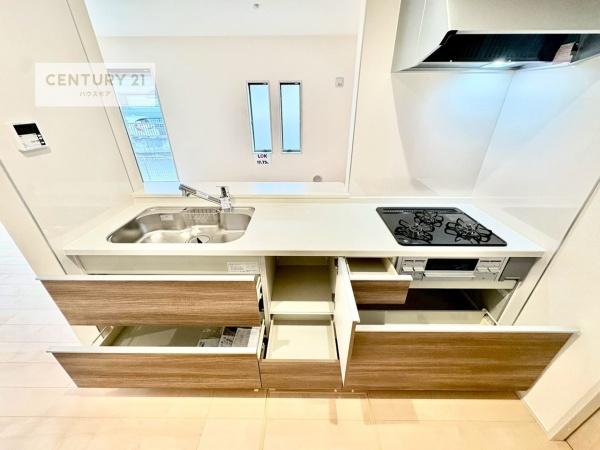 野田市中野台　新築戸建