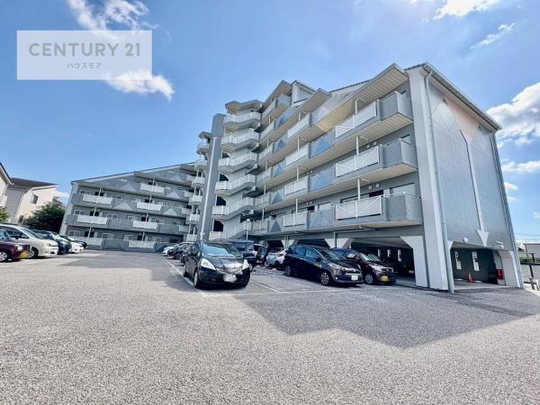 セントエルモ南柏