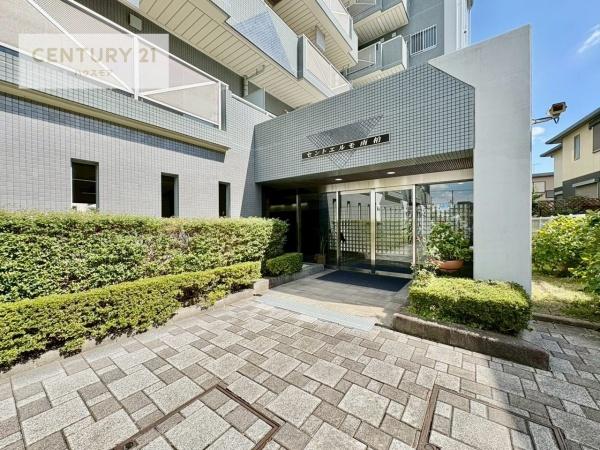 セントエルモ南柏