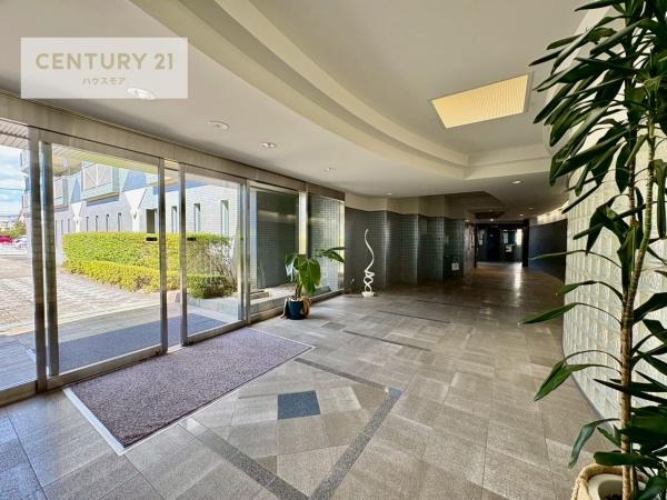 セントエルモ南柏