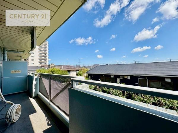 セントエルモ南柏