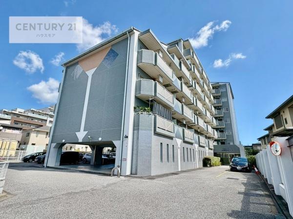 セントエルモ南柏