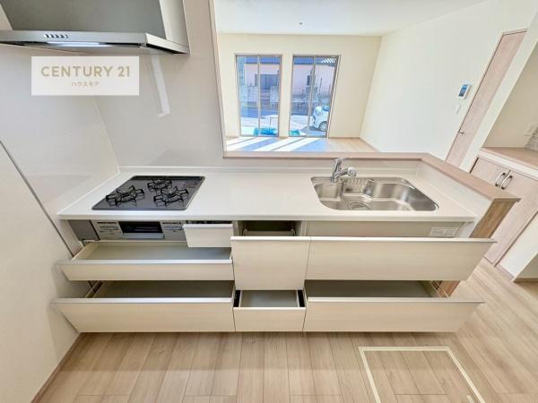 松戸市小金原7丁目　B号棟　新築戸建