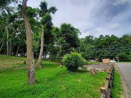 柏市酒井根5丁目　新築戸建(南増尾緑地)