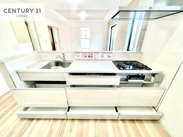 野田市花井新田　2号棟　新築戸建て