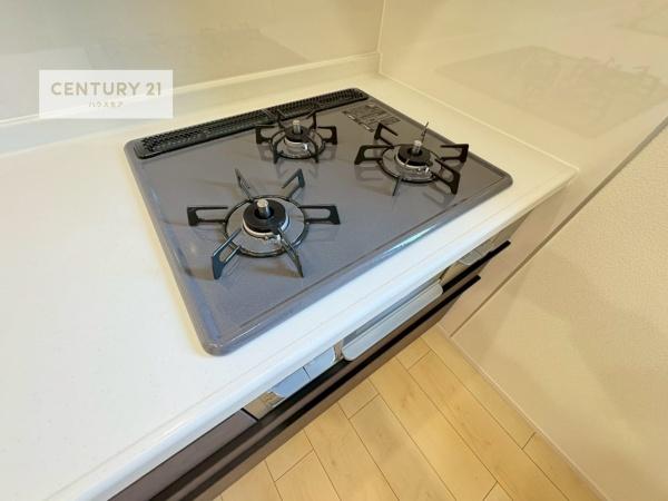 松戸市馬橋　B号棟　新築戸建て