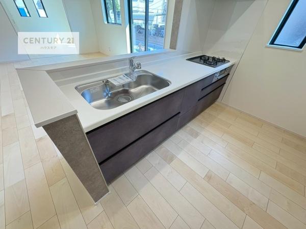 松戸市馬橋　B号棟　新築戸建て