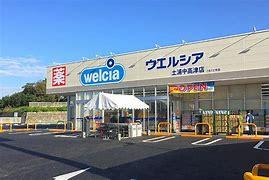 土浦市下高津3丁目　A号棟　新築戸建(ウエルシア土浦高津店)