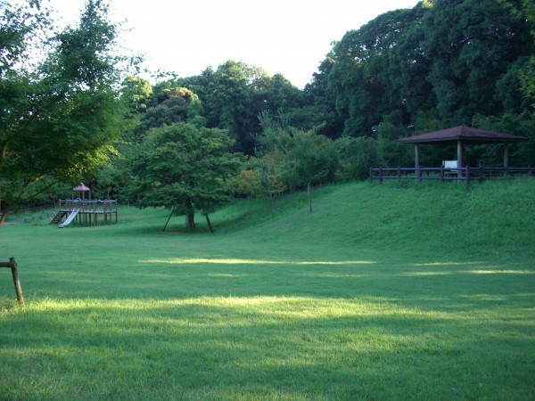 柏市大井の土地(戸張地区公園)