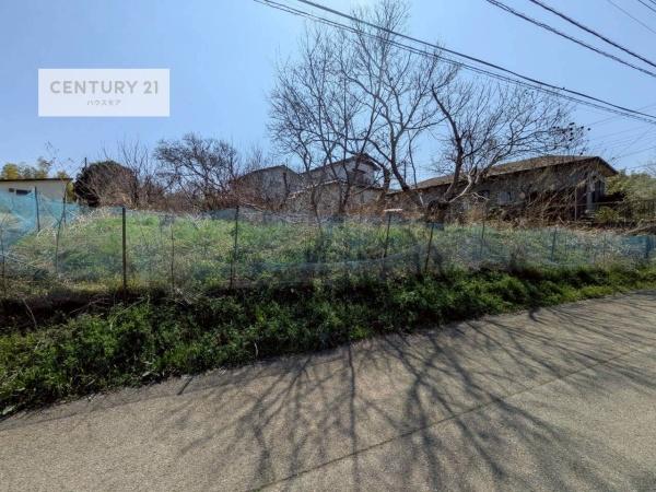 柏市大井　売地