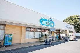 つくば市栗原　新築戸建(ウエルシアつくば桜店)