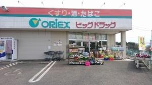 つくばみらい市伊奈東　A号棟　新築戸建(ビッグドラッグ板橋店)