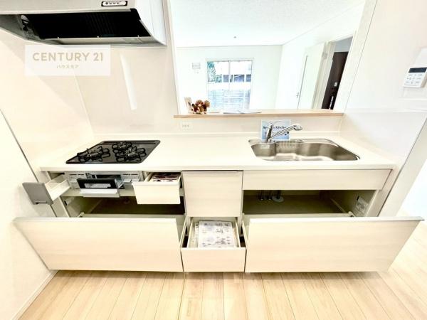 守谷市薬師台7丁目　2号棟　新築戸建