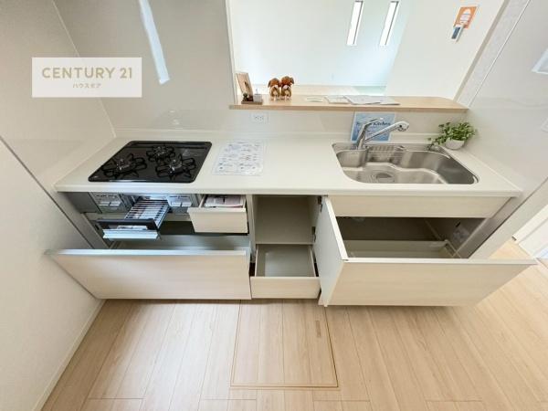 龍ケ崎市城ノ内3丁目　1号棟　新築戸建