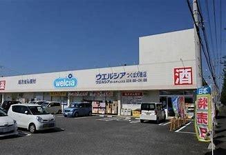 つくば市若森　2号棟　新築戸建て(ウエルシアつくば大穂店)