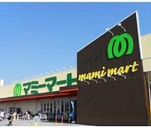 柏市あかね町　新築戸建て(マミーマートマミープラス柏若葉町店)
