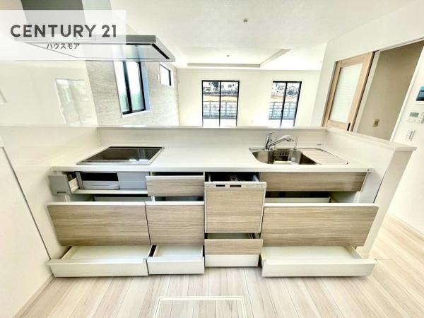 流山市松ケ丘6丁目　新築戸建て