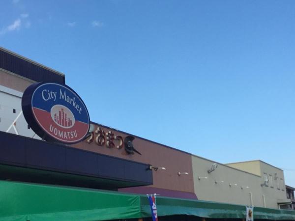 つくば市高野　1号棟　新築戸建て(シティーマーケットうおまつ上郷店)