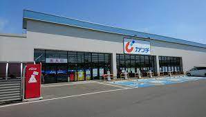 パラッシオ守谷(カワチ薬品守谷松並店)