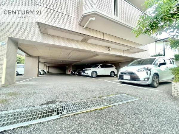 サーパス柏