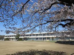 つくば市前野　2号棟　新築戸建(つくば市立前野小学校)