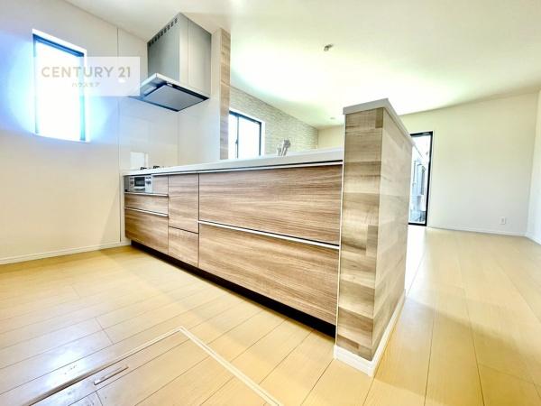 松戸市八ケ崎7丁目　D号棟　新築戸建て