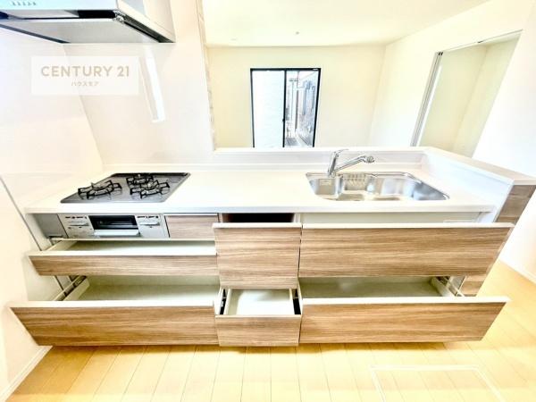 松戸市八ケ崎7丁目　D号棟　新築戸建て