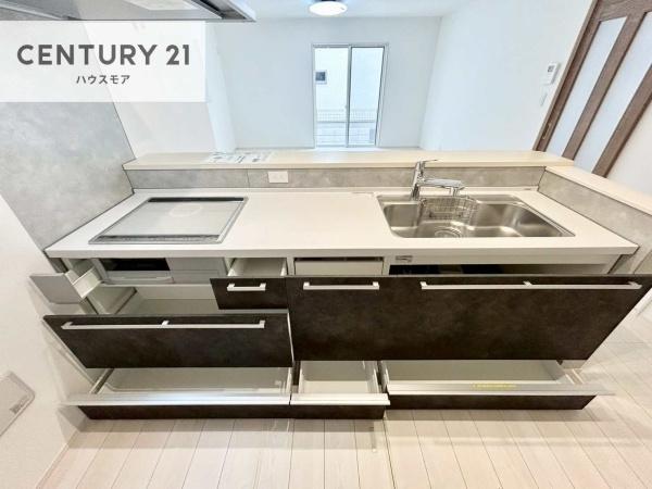 松戸市栗ケ沢　新築戸建て