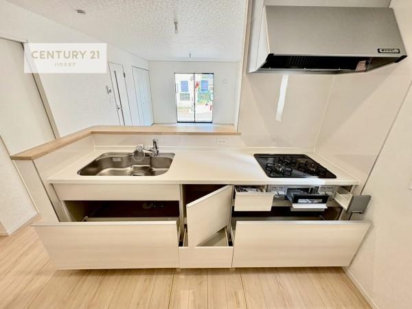 つくば市観音台1丁目　新築戸建て