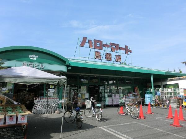 松戸市西馬橋　8号棟　新築戸建(ハローマート馬橋店)